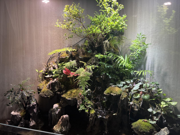 春暖花開，物業(yè)客服前臺綠植養(yǎng)護日記